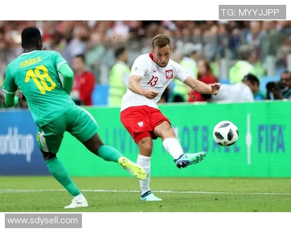 乌克兰与波兰足球对决比分预测及分析展望 乌克兰与波兰足球对决比分预测及分析展望