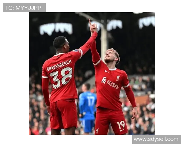 埃弗顿与利物浦激战在即球迷欢呼预测精彩对决盛况 埃弗顿与利物浦激战在即球迷欢呼预测精彩对决盛况