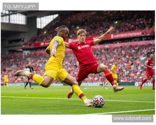 希姆基与图兵工的对决分析及赛季前景展望